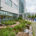 What Is a Stormwater Management Plan and When Do I Need One?